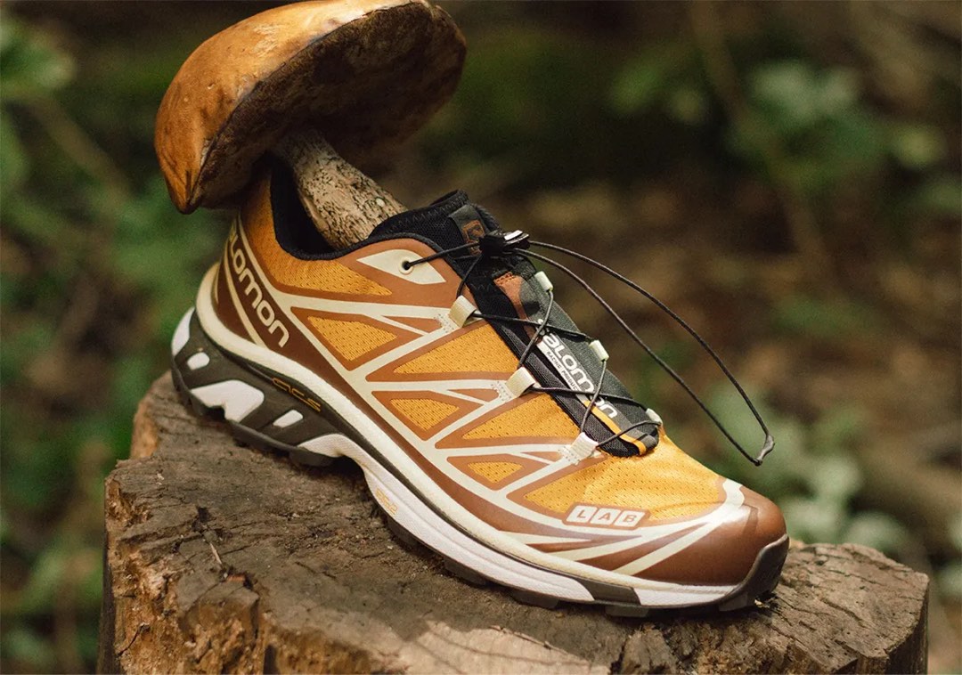 Salomon x deals pro x1