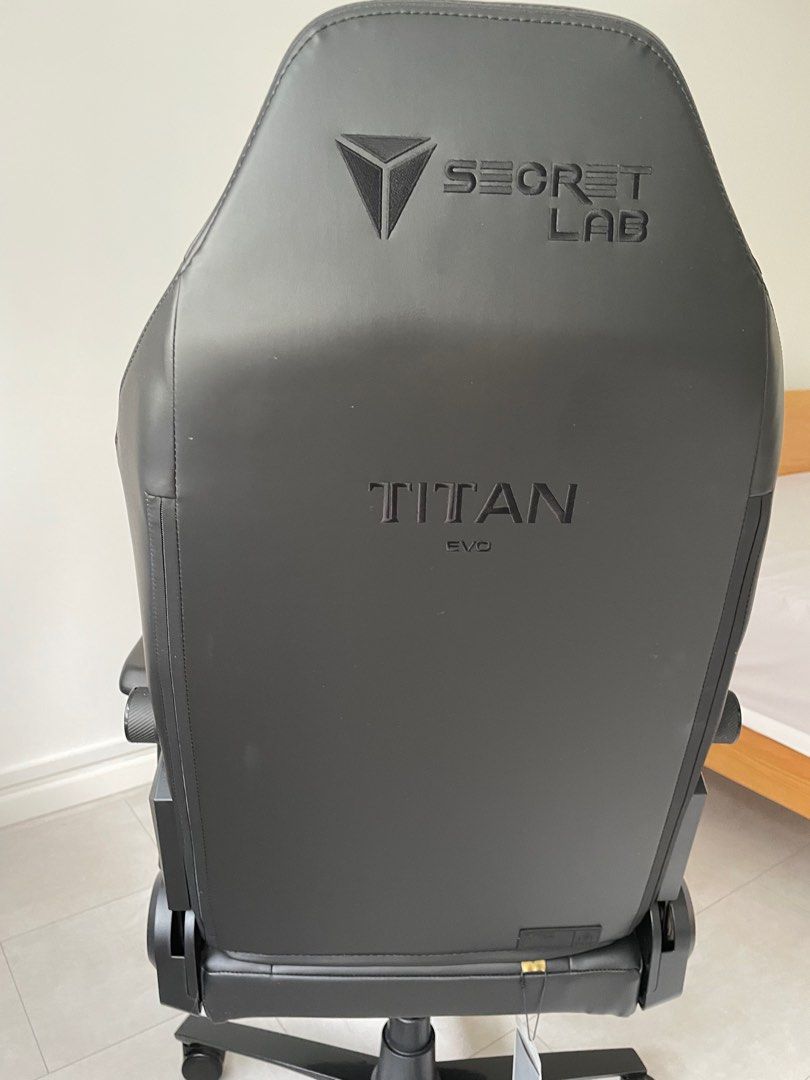 Lumbar support secretlab titan clearance