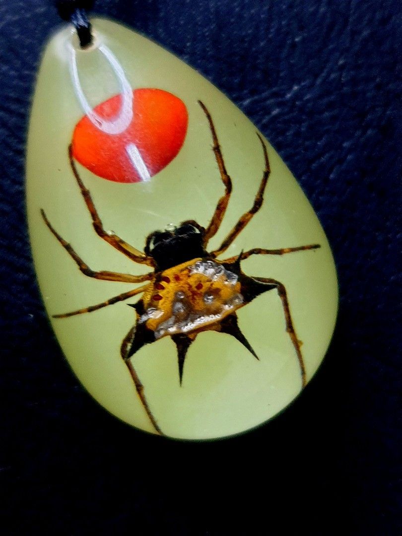 Unique Real Spiky horns Spider specimen Grow in the Dark pandent
