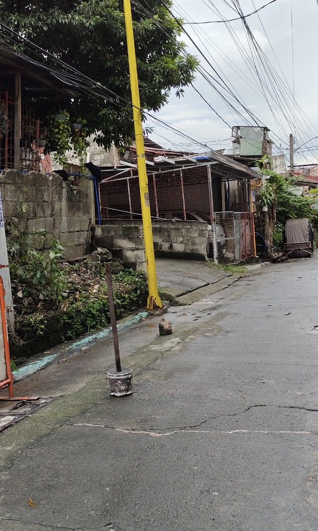 161sqm Lot for Sale with Structures to Demolish Pembo Makati City