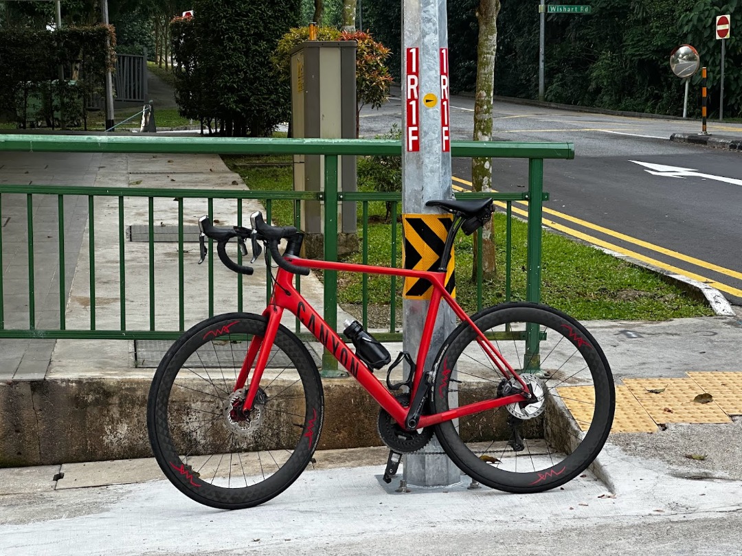 Canyon endurace 2024 2016