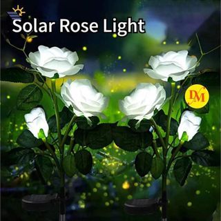 BUY ONE TAKE ONE  SOLAR GARDEN ROSE LIGHTS FOR OUTDOOR
Color White and Red 
Reseller 310  (2pcs)