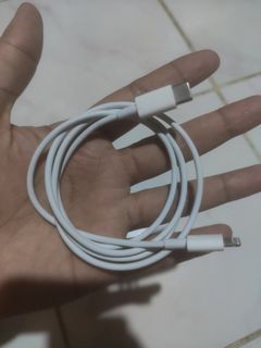 iPhone type c lightning cable