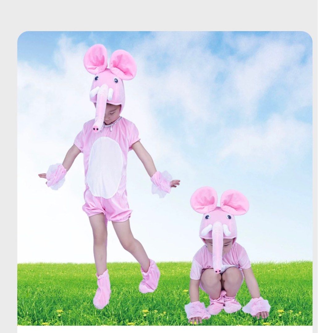 Kids elephant costume, Everything Else on Carousell