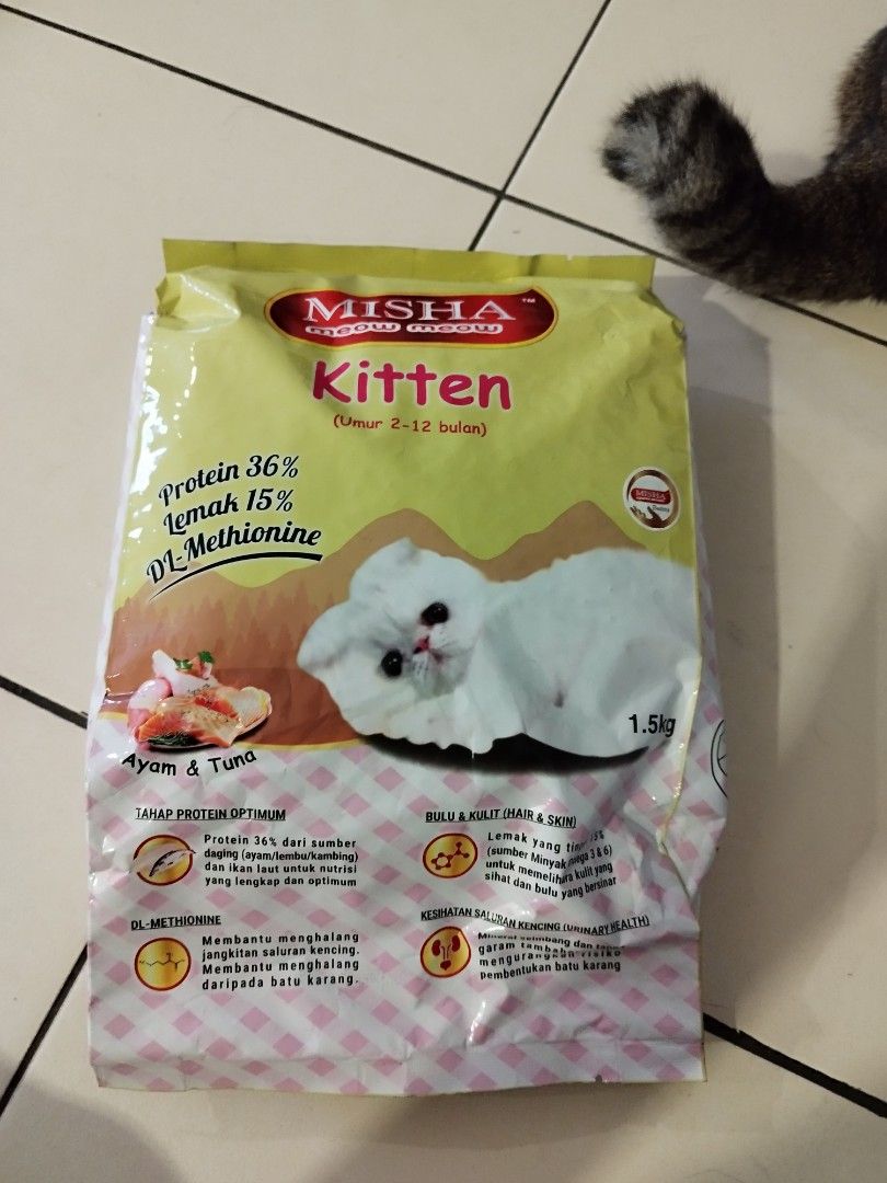 Misha dry cat sales food