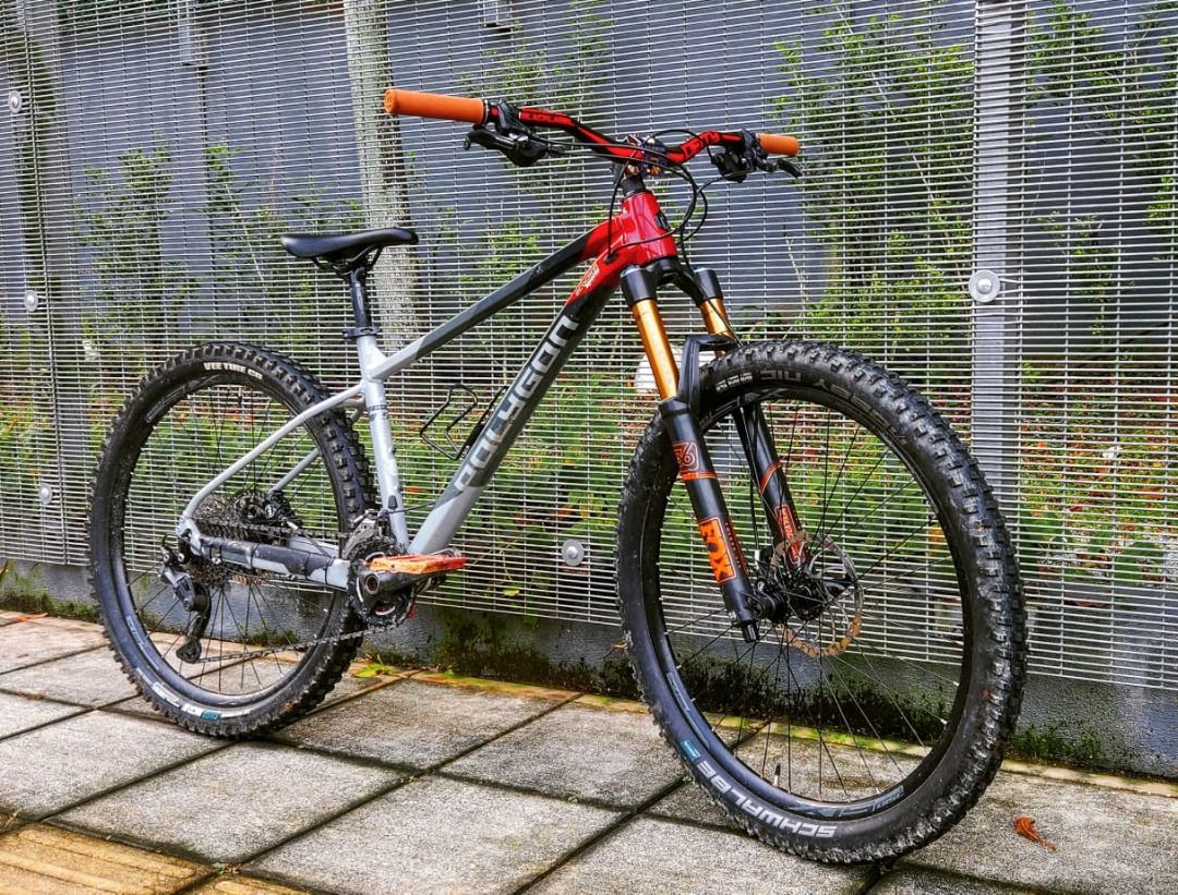 Hardtail polygon cheap
