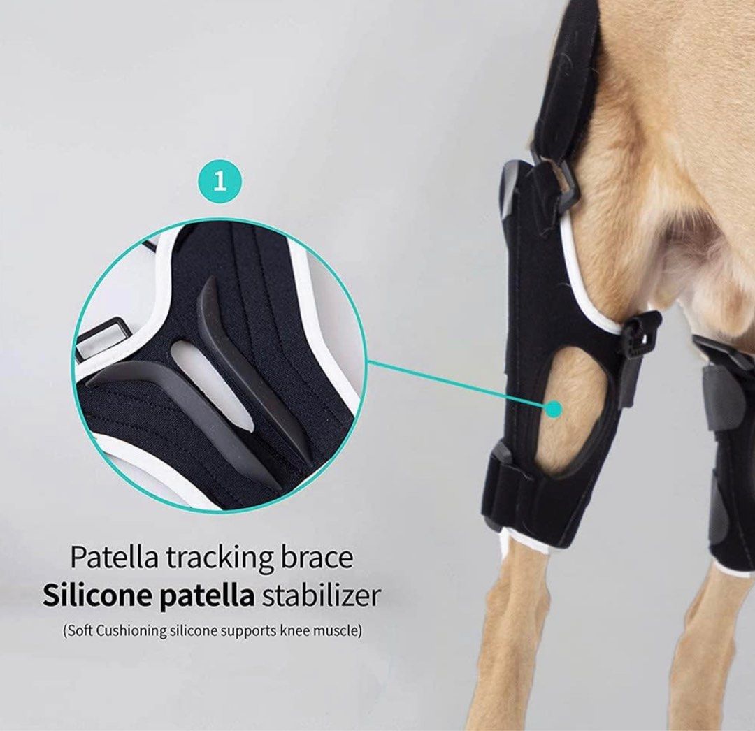 Poveo hinged Dog Knee Brace with Patella Tracker, Pet Supplies, Health