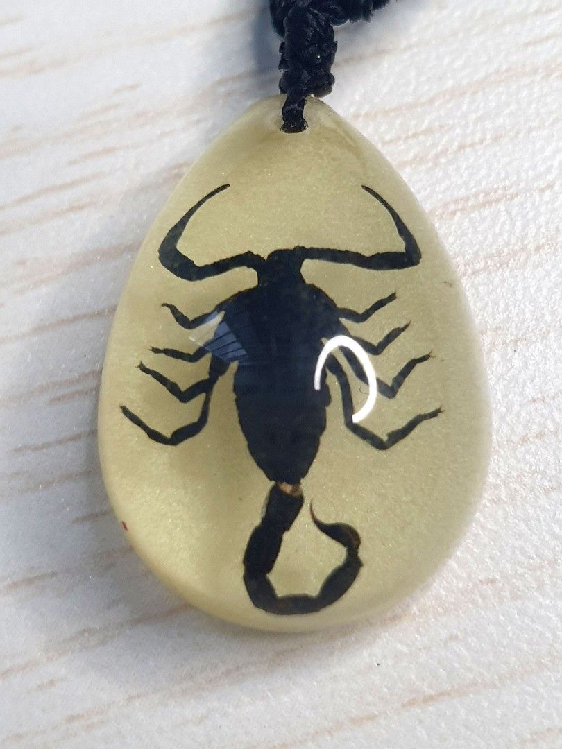 Amazon.com: Real Scorpion Necklaces - Golden Scorpion and Black Scorpion in  Two Halves of a Clear See Thru Heart - 1.25