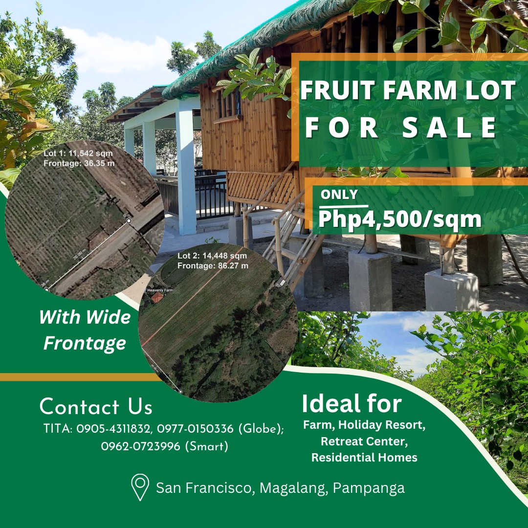 Rush For Sale 25,990 sqm Residential Fruit Farm Lots with Wide