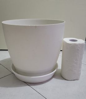 (Category: ) located in . Submitted by cinceliatan (Listing ID 1261239888, Image 1). Description: .