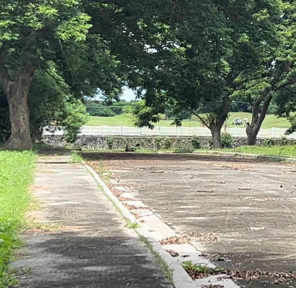 2 LOTS FOR SALE in THE ORCHARD Golf and Country Club Dasmarinas, Cavite