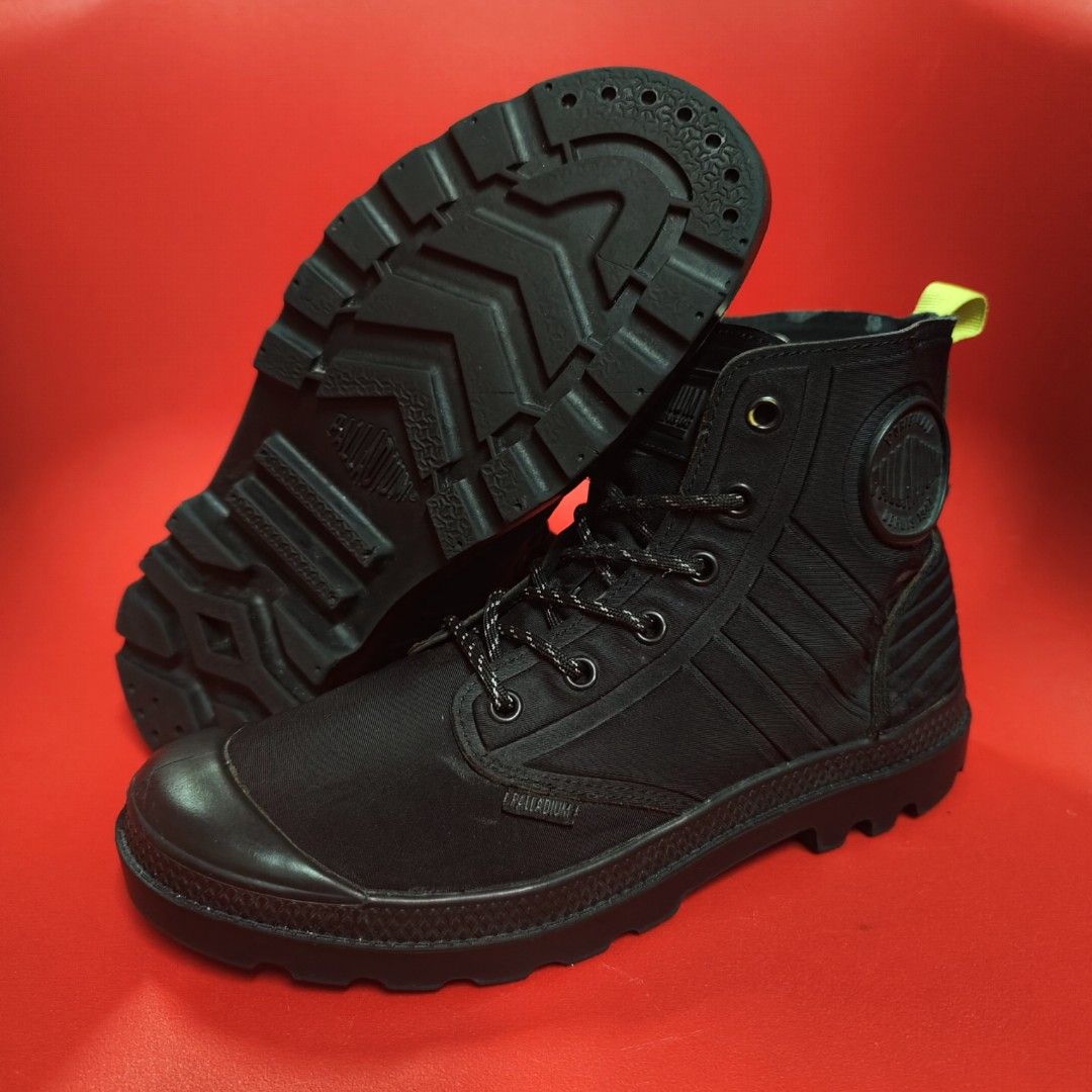 Pampa amphibian online