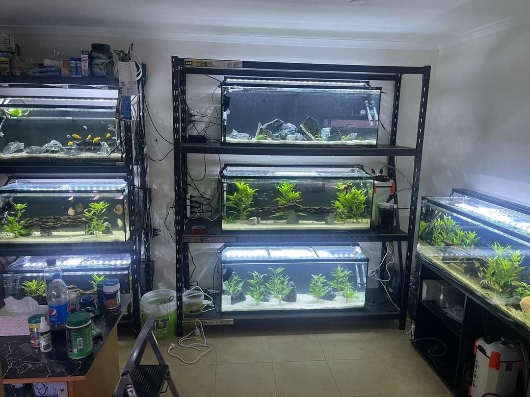AQUARIUM RACKING SYSTEM, TV & Home Appliances, Kitchen Appliances, Wine