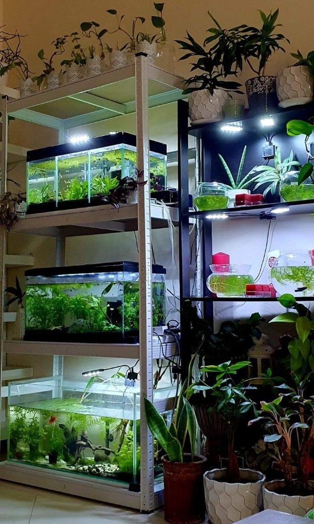 AQUARIUM RACKING SYSTEM, TV & Home Appliances, Kitchen Appliances, Wine