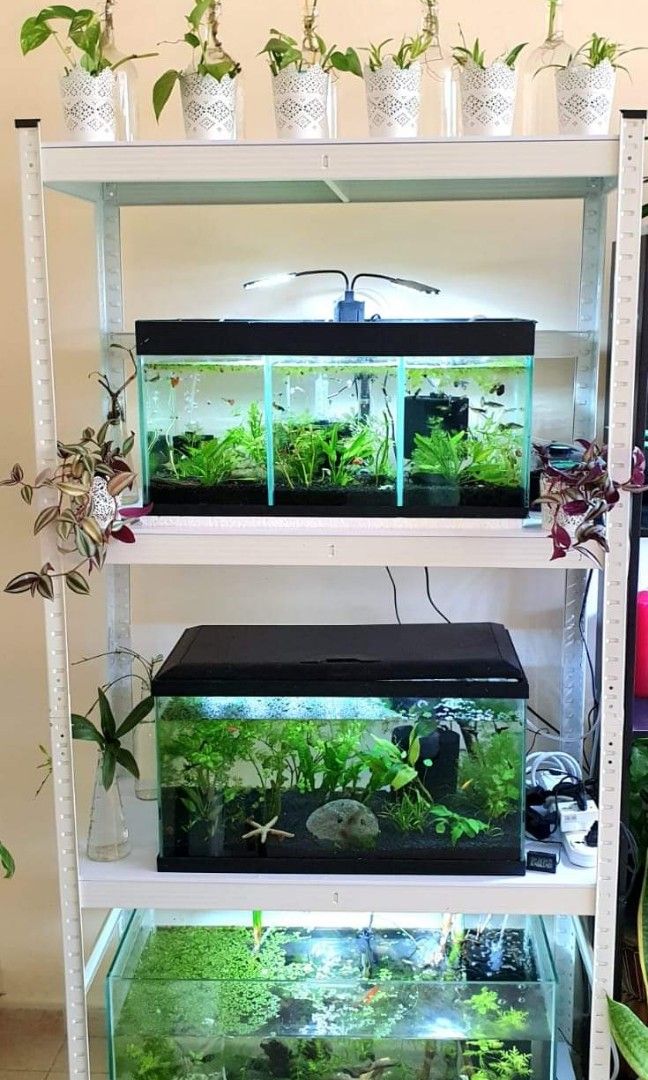 AQUARIUM RACKING SYSTEM, TV & Home Appliances, Kitchen Appliances, Wine