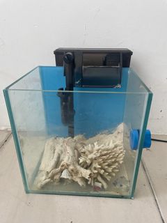 (Category: ) located in . Submitted by jackchong029503 (Listing ID 1261408390, Image 1). Description: .