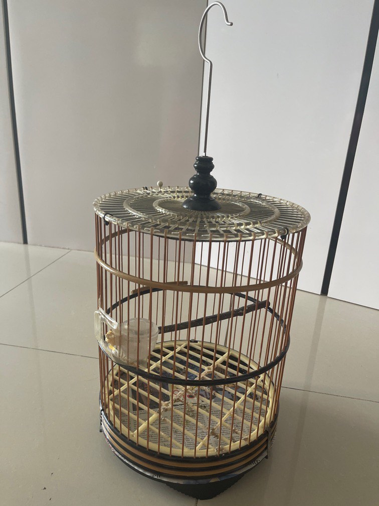 Bird cage, Pet Supplies, Homes & Other Pet Accessories on Carousell