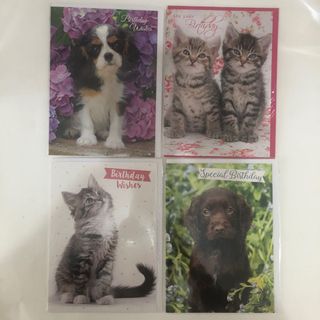 （分類：）位於 。 由 tardis98 提交（商品編號 1261386756，圖片 1）。簡介： 。