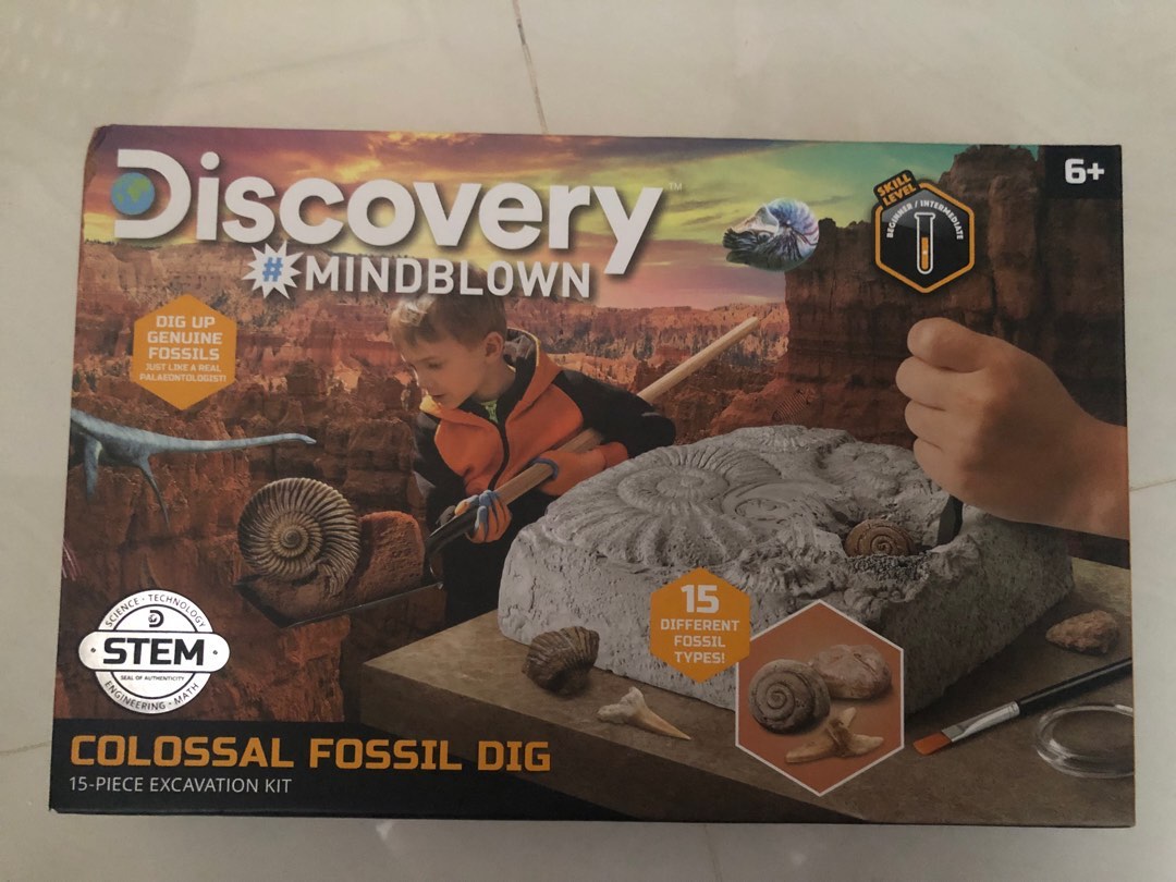 BN Discovery Colossal Fossil Dig, Hobbies & Toys, Toys & Games on Carousell