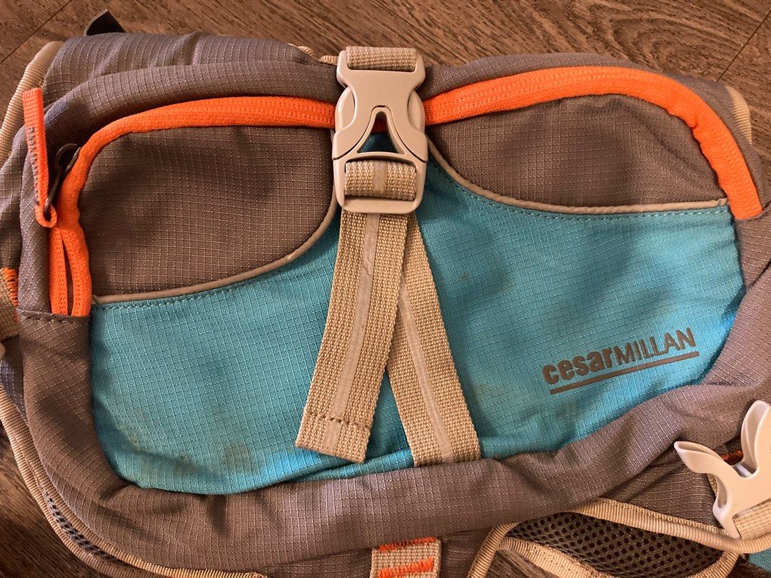Cesar millan backpack clearance
