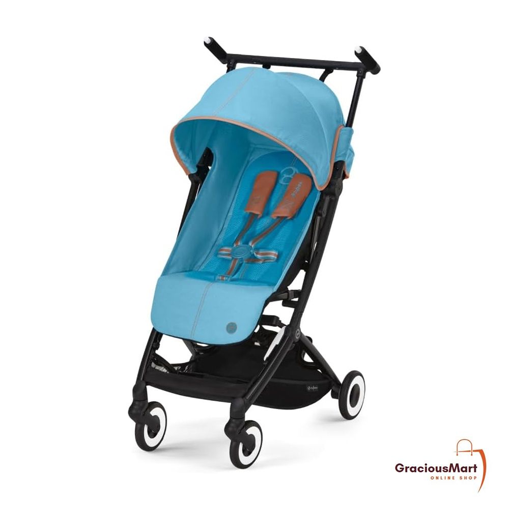 Stroller that fits store in carry on