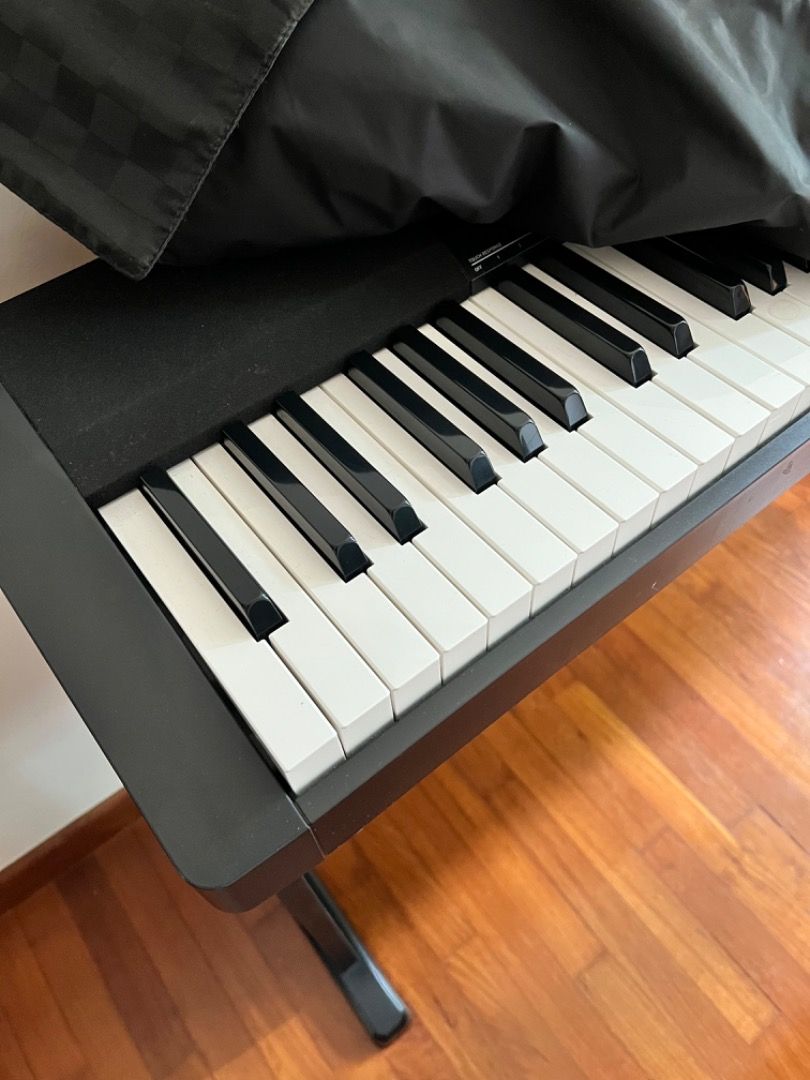 Digital piano/ casio, Hobbies & Toys, Music & Media, Musical