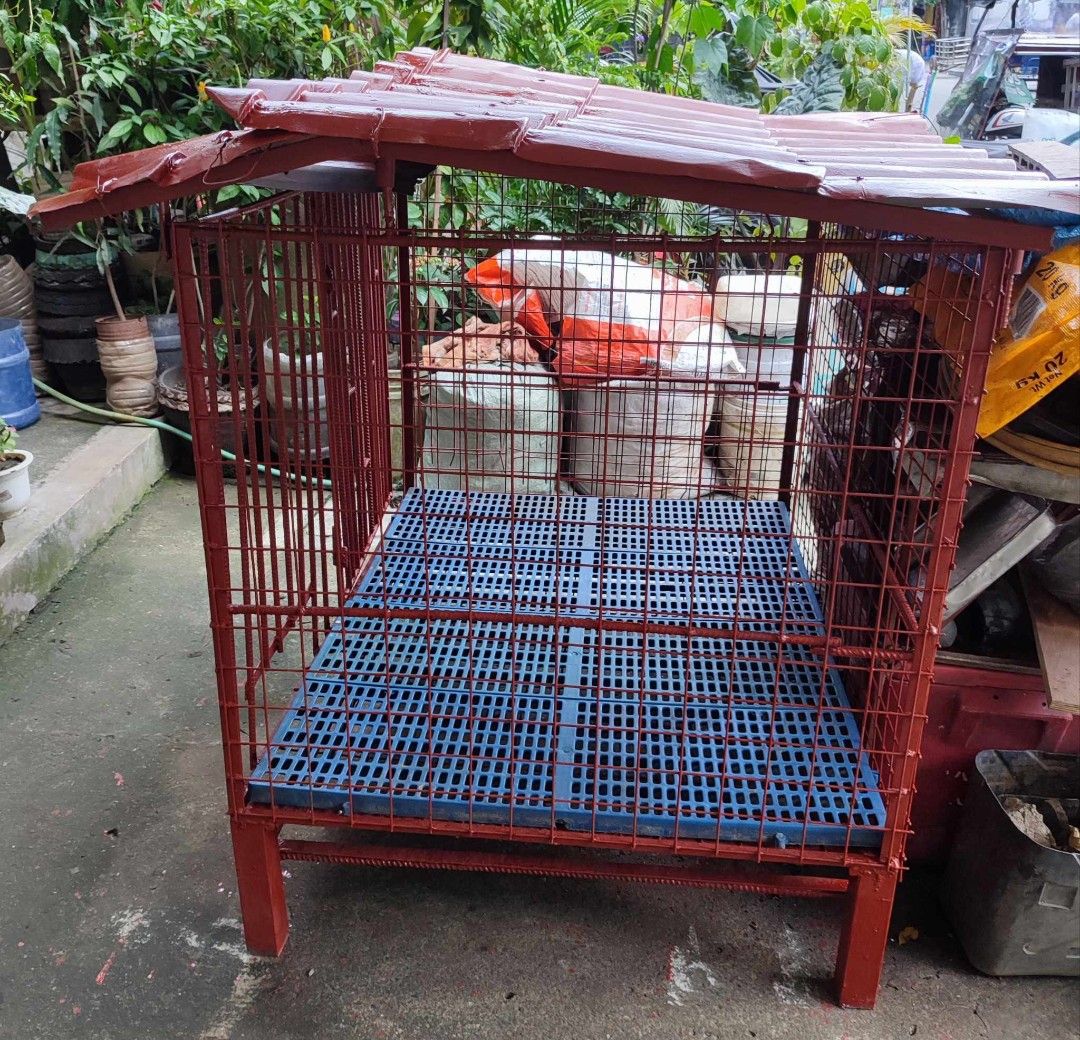 Dog House (Category: Homes & Other Pet Accessories) located in Rizal. Submitted by ZhangYisha (Listing ID 1261385054, Image 1). Description: Dog House (Heavy-duty) Old Price: P4, 000 Condition: Well used, newly painted Has minor flaws Description:Can fit two large dogs Size: 49" x38" x 45" ht. RFS: Decluttering ✅For Small Dogs (Chihuahua, Shih tzu or other small dogs) : Can fit up to 6 ✅For Medium Dogs (Beagle and other medium dogs): Can fit up t