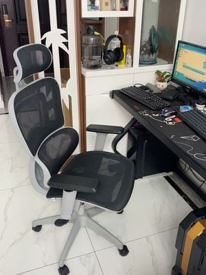 Chair for store study olx