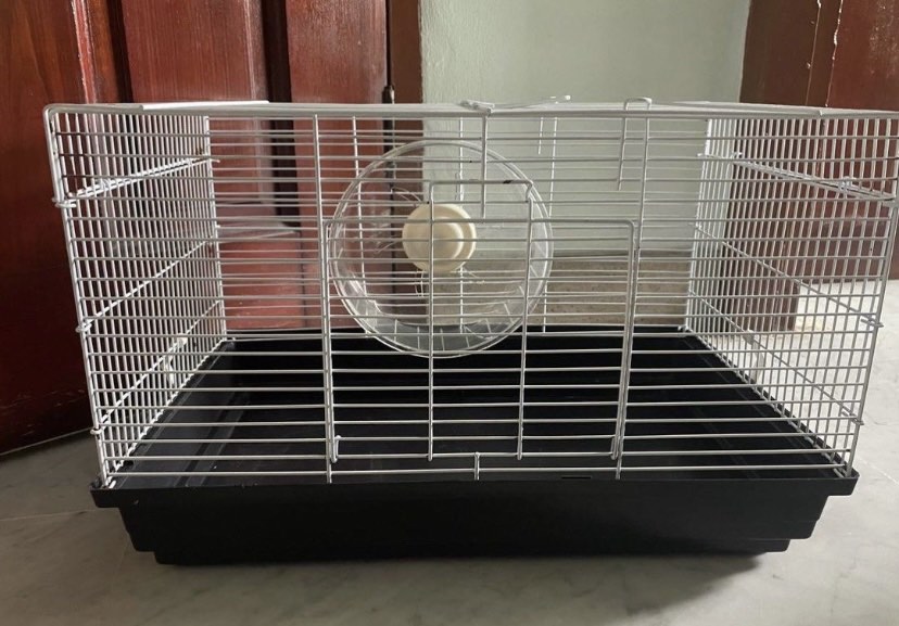 Beautiful view of Hamster Cage Wheel Custom Sizes