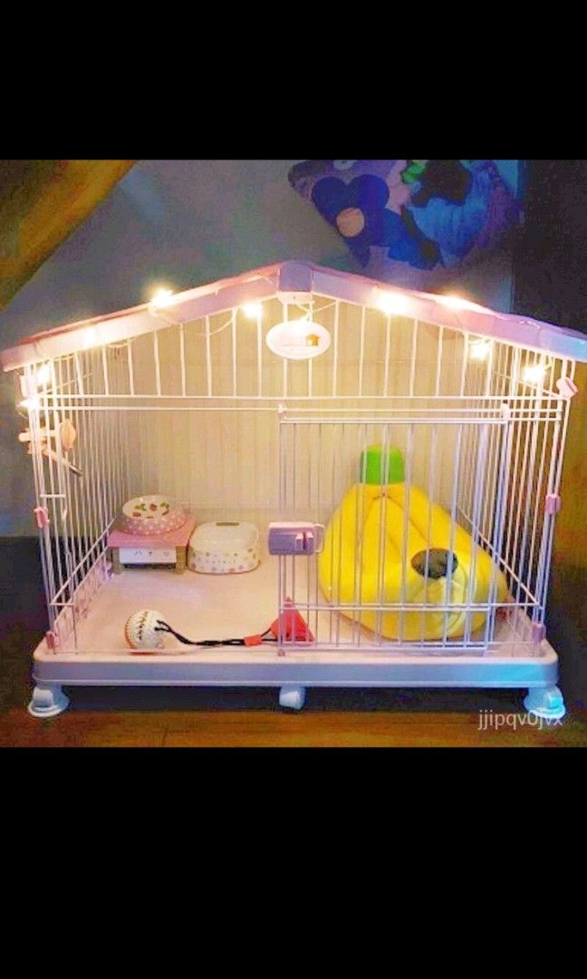 Iris store dog fence