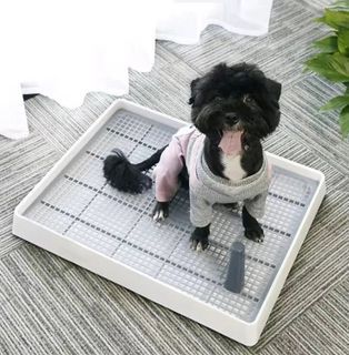 Potty Training Tray For Dogs