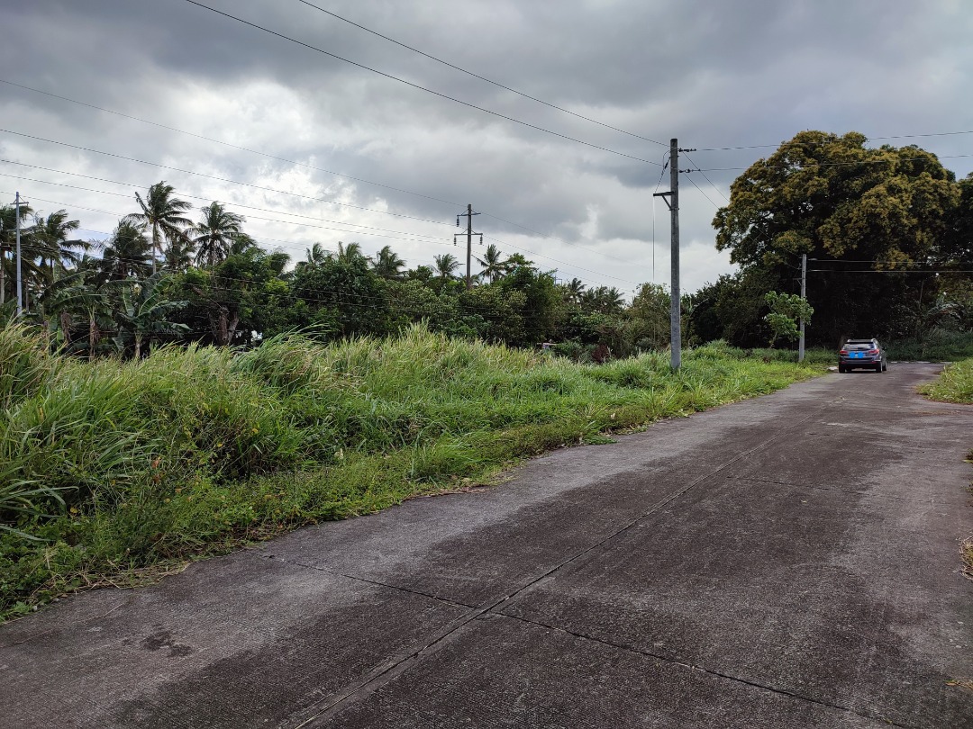 Residential Vacant Lot for Sale in Magnificat Executive Village in Lipa