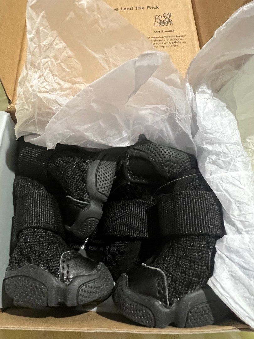 RIfruf Queens Caesar 1, Pet Supplies, Homes & Other Pet Accessories on