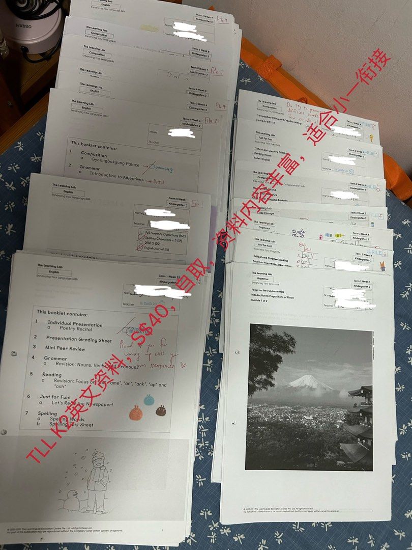 The Learning Lab K2 English Worksheets, Hobbies & Toys, Books