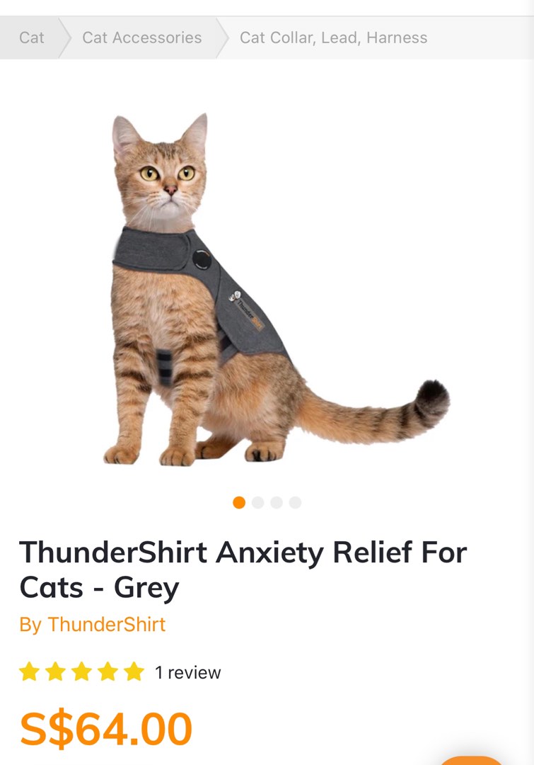 Thundershirt sales cat anxiety