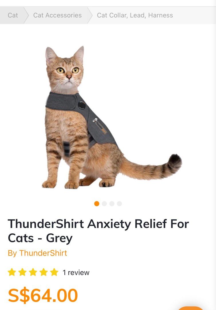 Anxiety jacket for best sale cats
