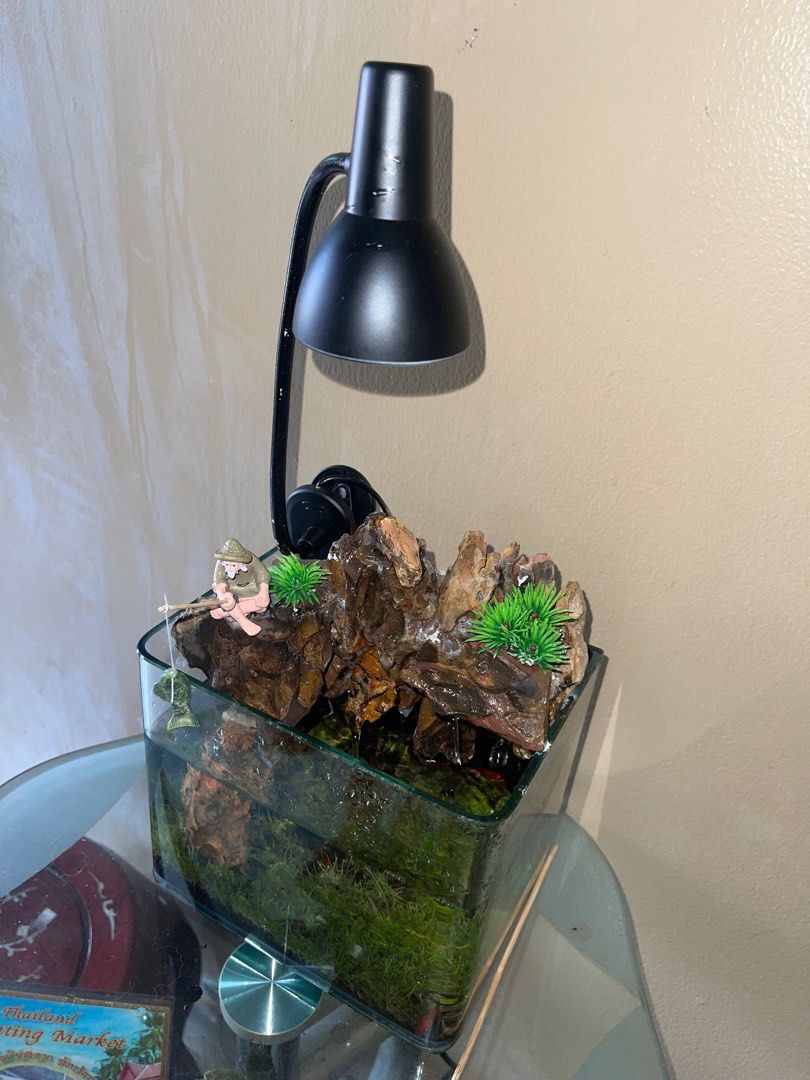 water flow aquarium, Furniture & Home Living, Gardening, Pots