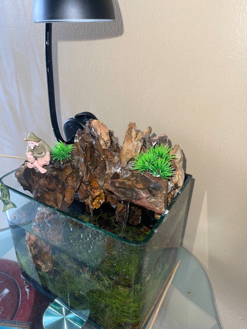 water flow aquarium, Furniture & Home Living, Gardening, Pots