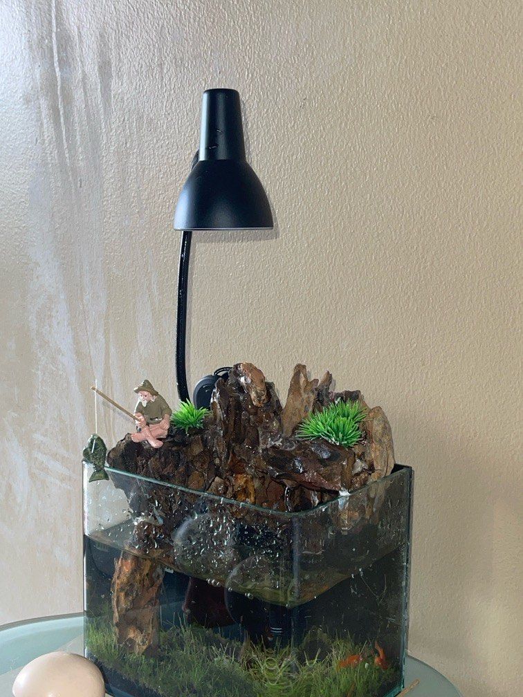 water flow aquarium, Furniture & Home Living, Gardening, Pots