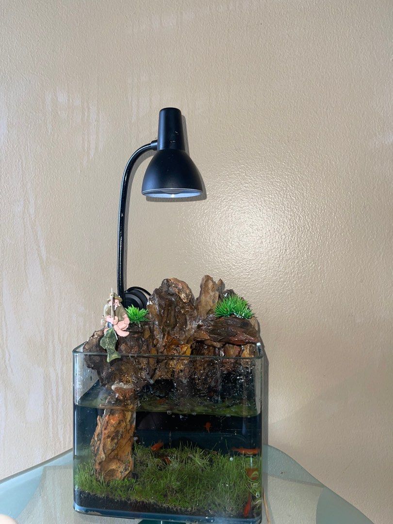 water flow aquarium, Furniture & Home Living, Gardening, Pots