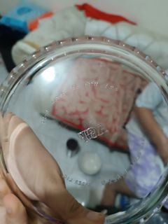 5pcs pyrex glass plate