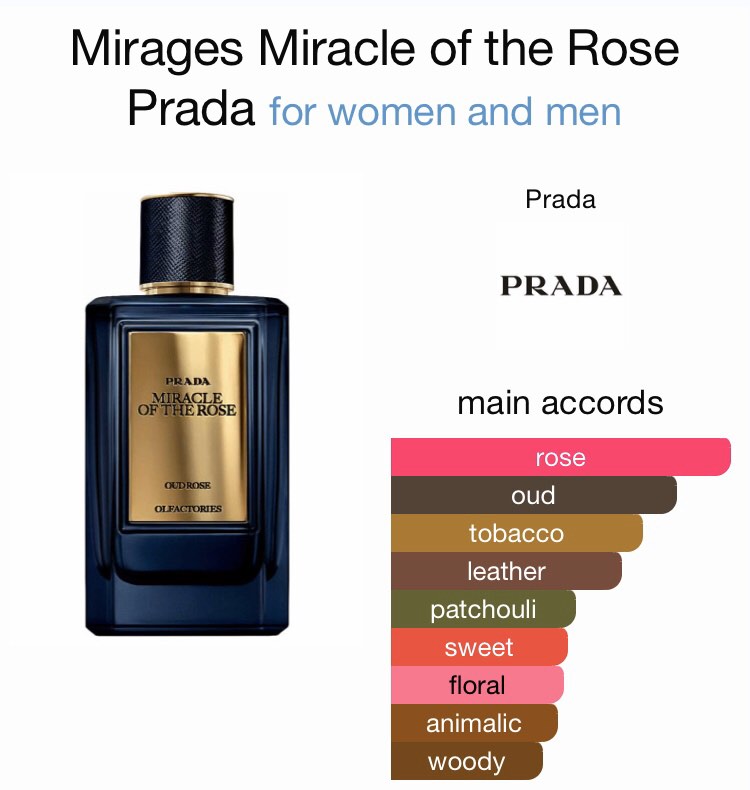 Prada oud rose price clearance