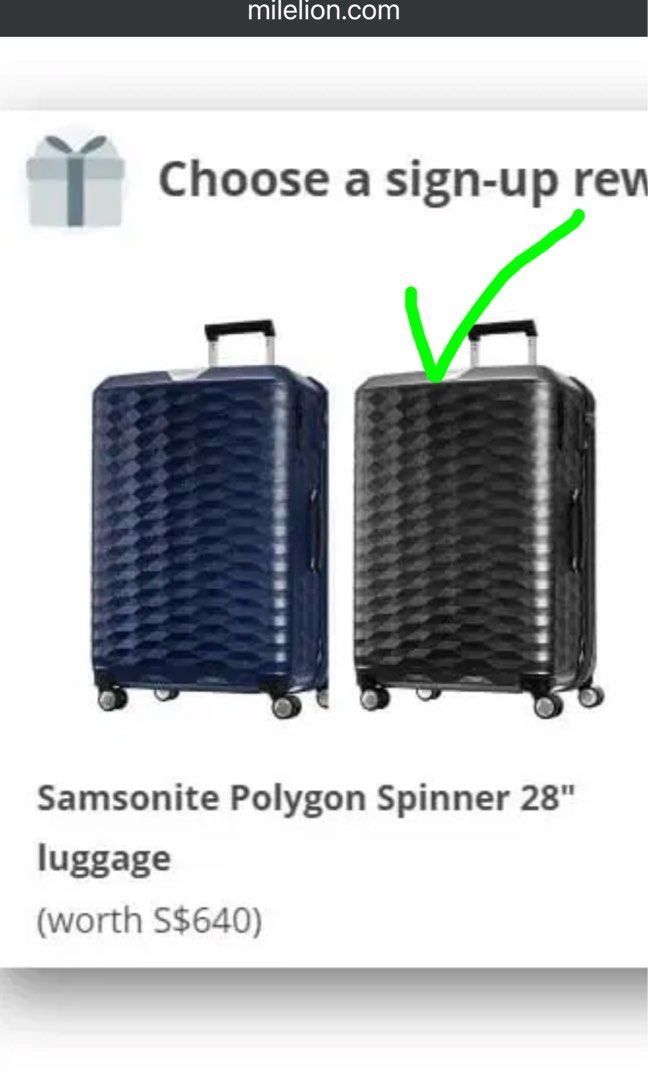 Brand New Extra Large Samsonite Spinner, Hobbies & Toys, Travel