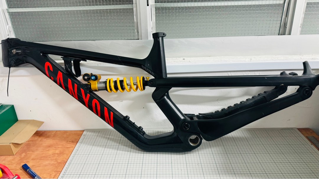 Canyon Spectral 29er Frame, Sports Equipment, Bicycles & Parts