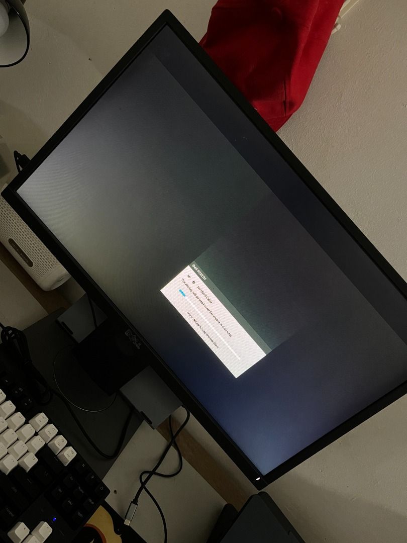 Dell Monitor (has panel issues), Computers & Tech, Parts & Accessories ...