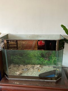 （分類：）位於 。 由 sharonghtan 提交（商品編號 1261528203，圖片 1）。簡介： 。