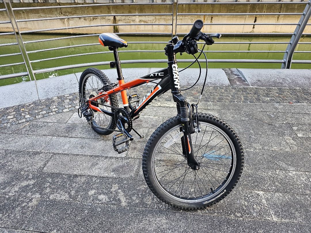 Giant xtc jr 1 2025