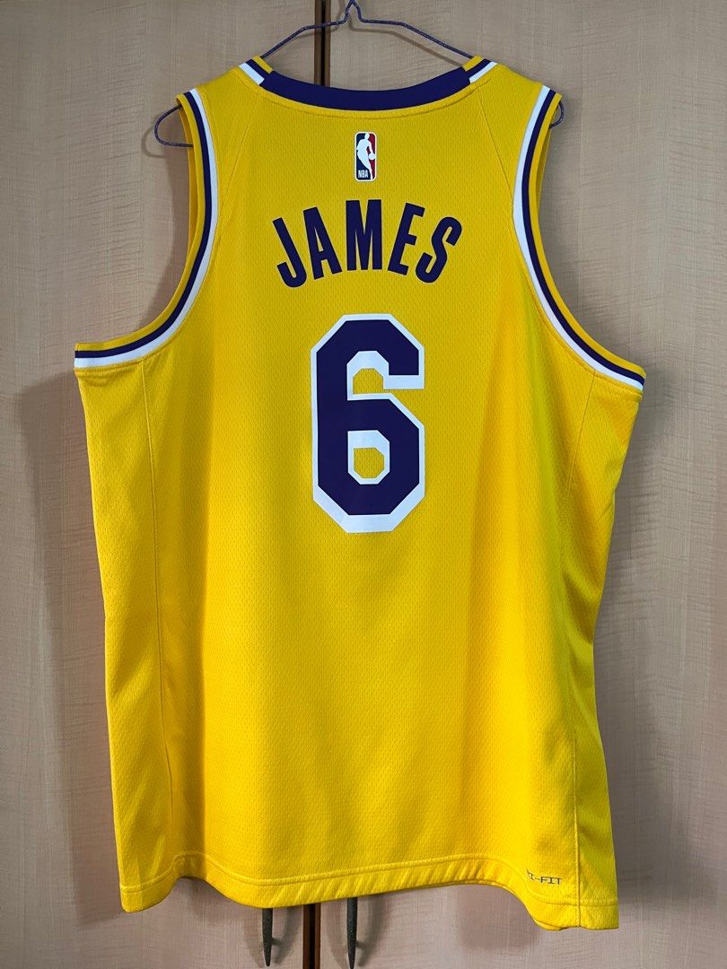 Lebron james cheap icon edition swingman