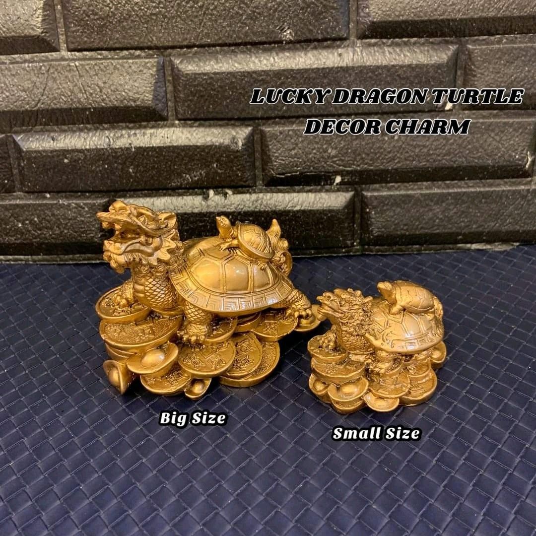 Dragon turtle bracelet meaning discount