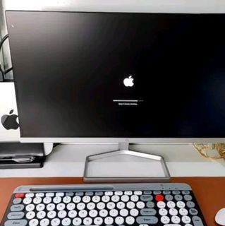 Mac Mini M1 + HP Monitor
